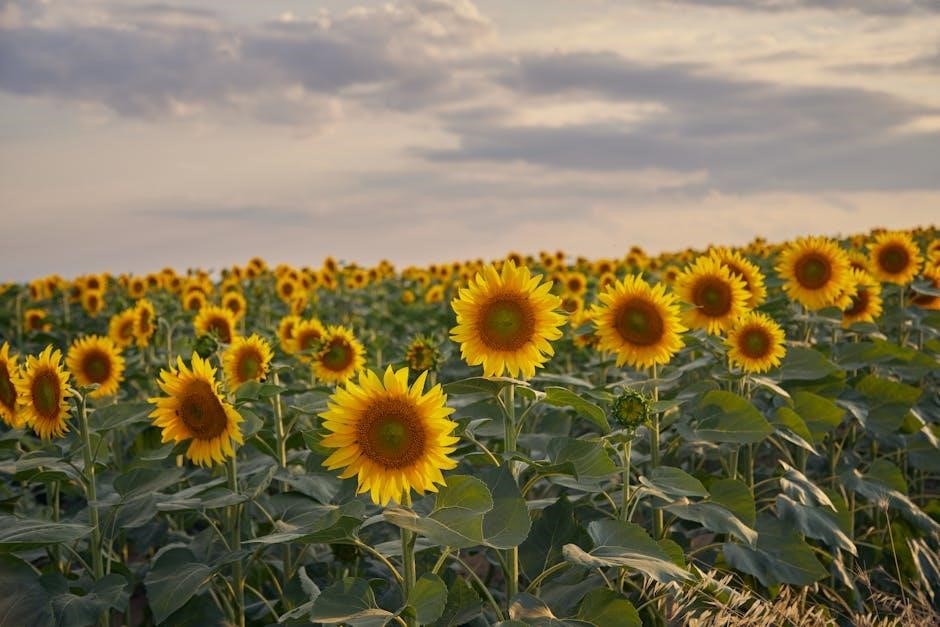 hard boiled wonderland and the end of the world pdf