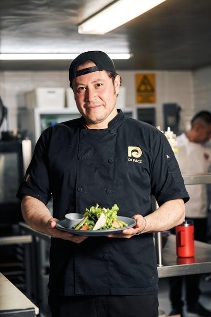 master chef air fryer manual master chef air fryer manual